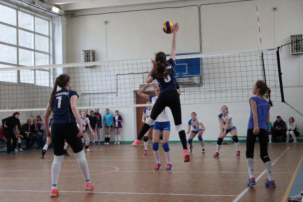 Волейбольный турнир памяти Николая Ельченинова