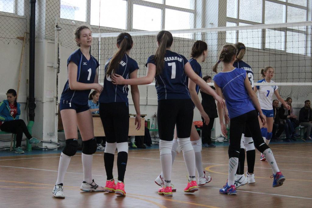 Волейбольный турнир памяти Николая Ельченинова