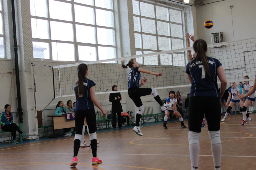 Волейбольный турнир памяти Николая Ельченинова