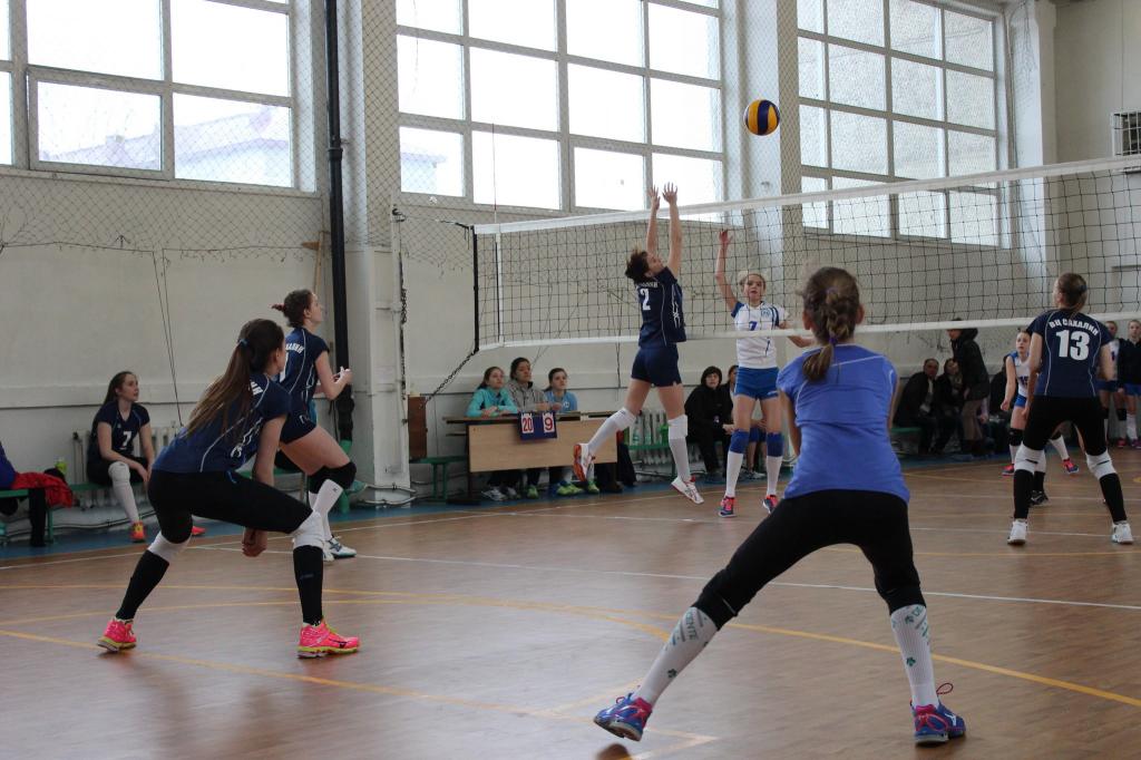 Волейбольный турнир памяти Николая Ельченинова