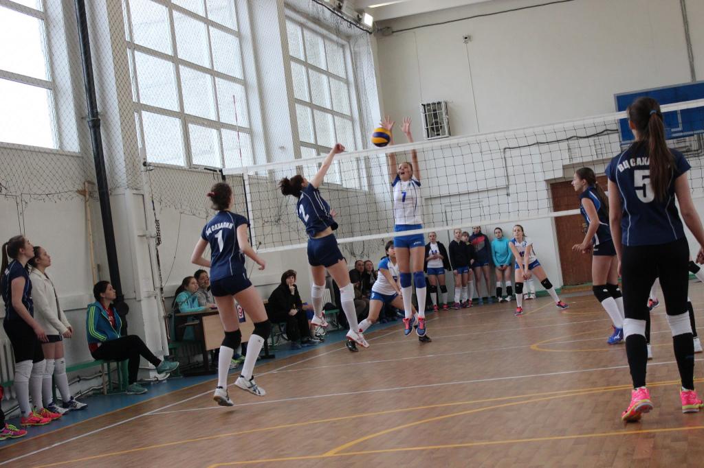 Волейбольный турнир памяти Николая Ельченинова