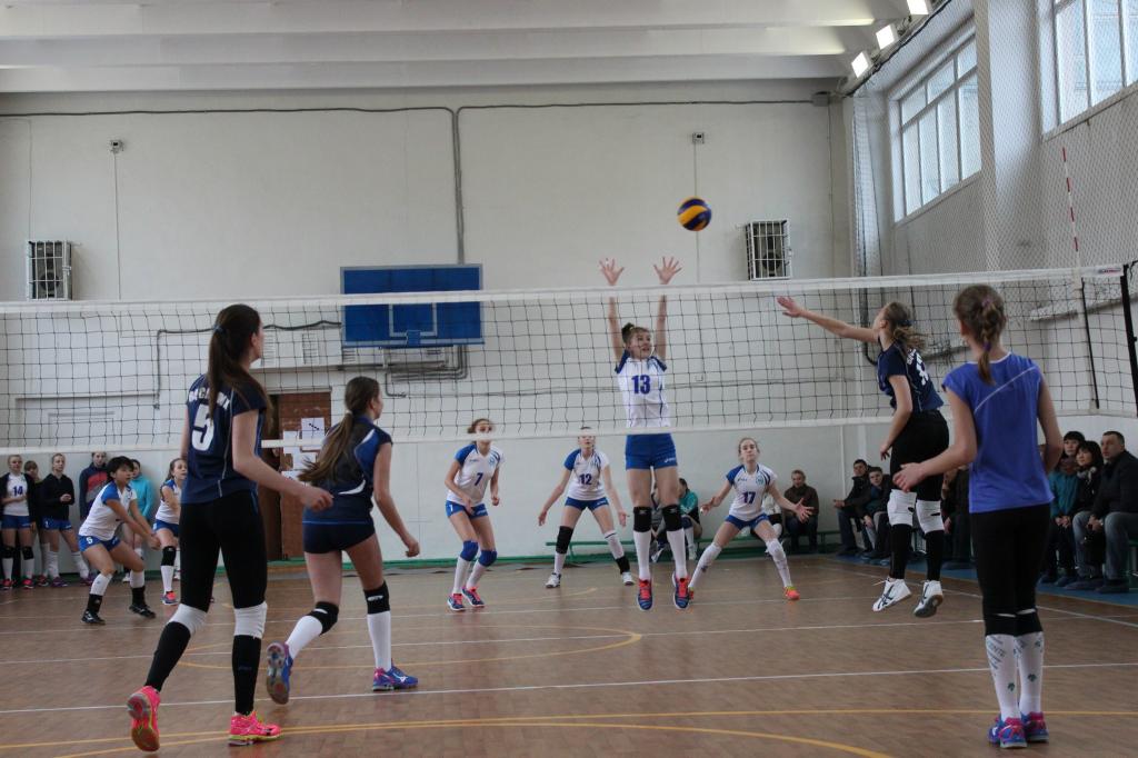 Волейбольный турнир памяти Николая Ельченинова