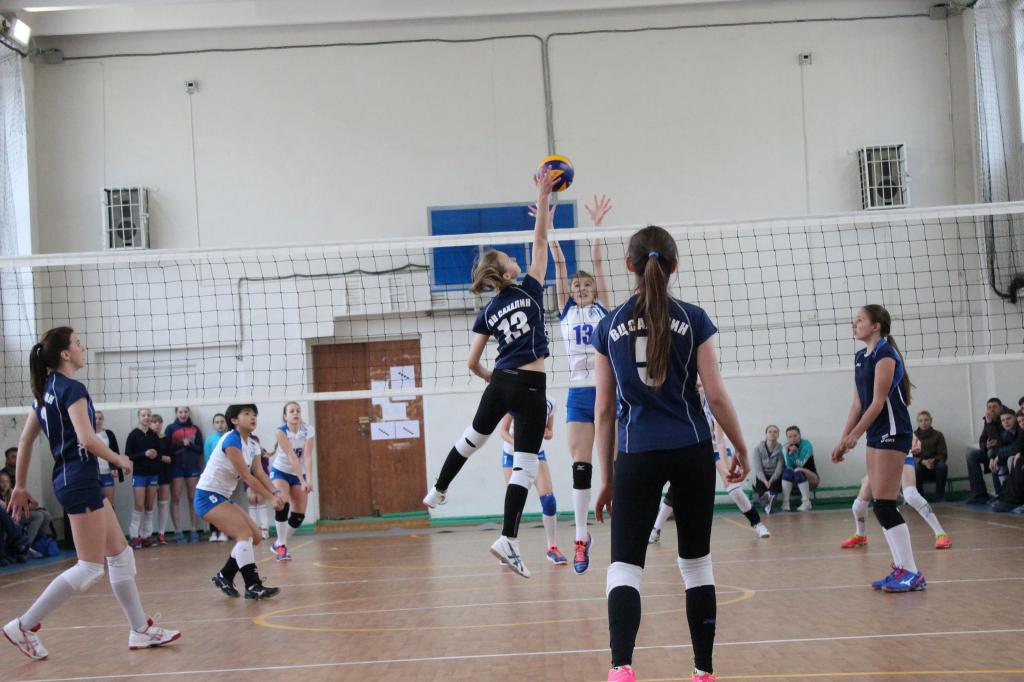 Волейбольный турнир памяти Николая Ельченинова