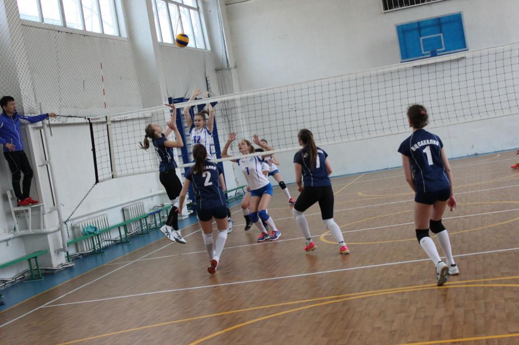 Волейбольный турнир памяти Николая Ельченинова