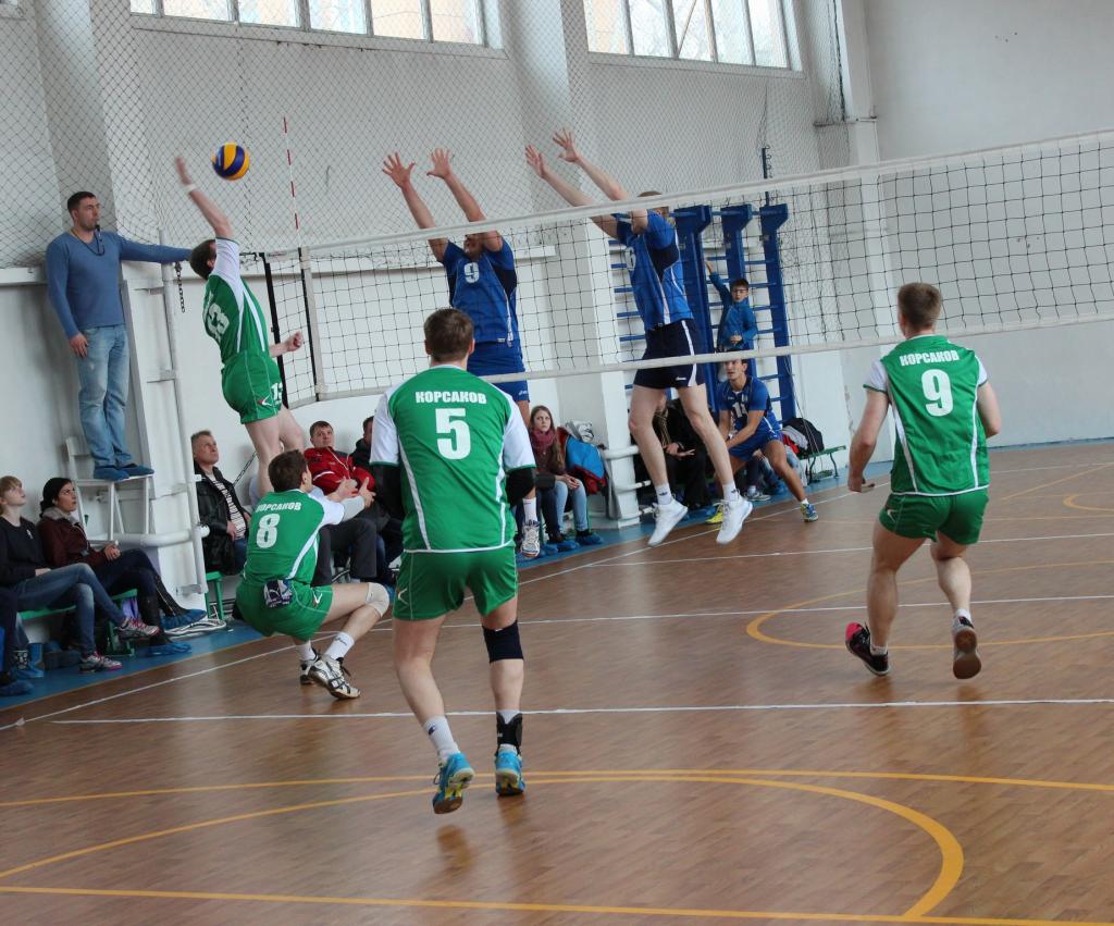 Волейбольный турнир памяти Николая Ельченинова