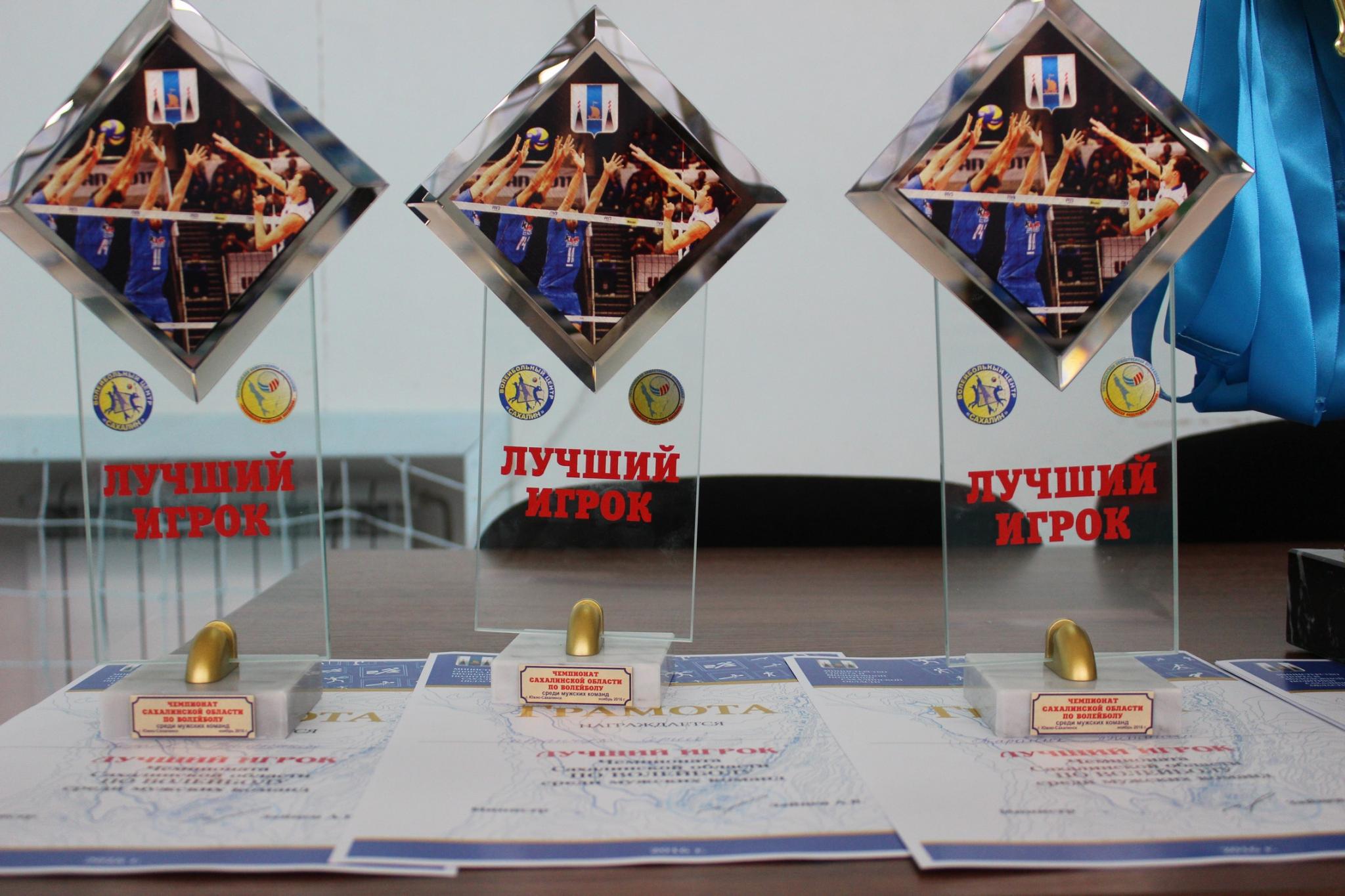 Чемпионат области 2016 года по волейболу среди мужских команд