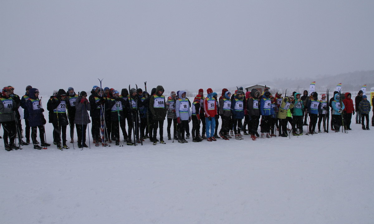 Чемпионат и первенство области по лыжным гонкам