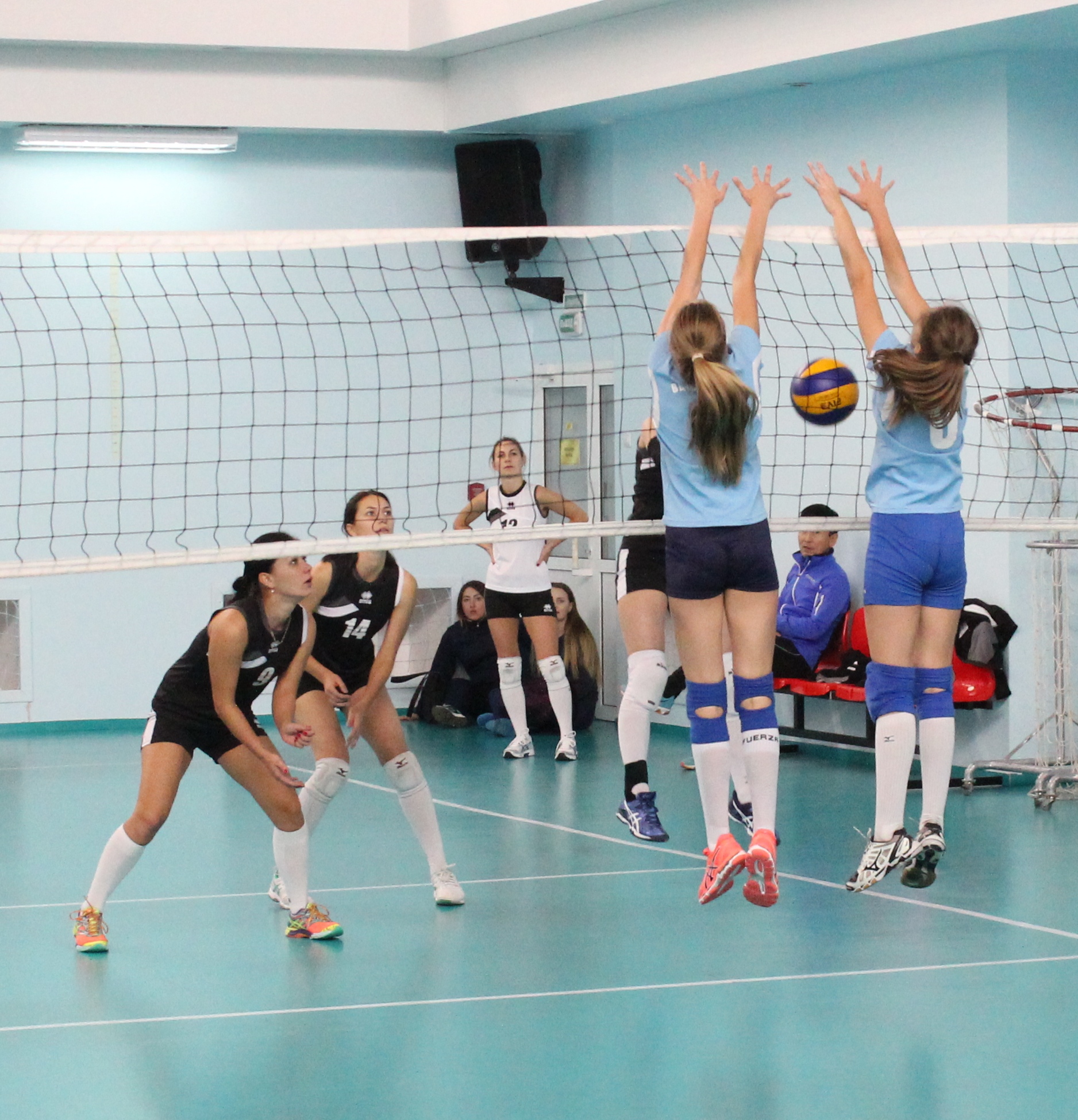 Чемпионат области среди женских команд