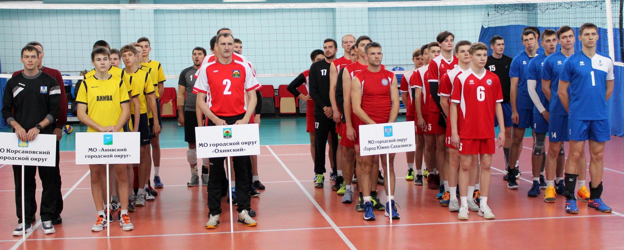 Чемпионат области по волейболу среди мужских команд