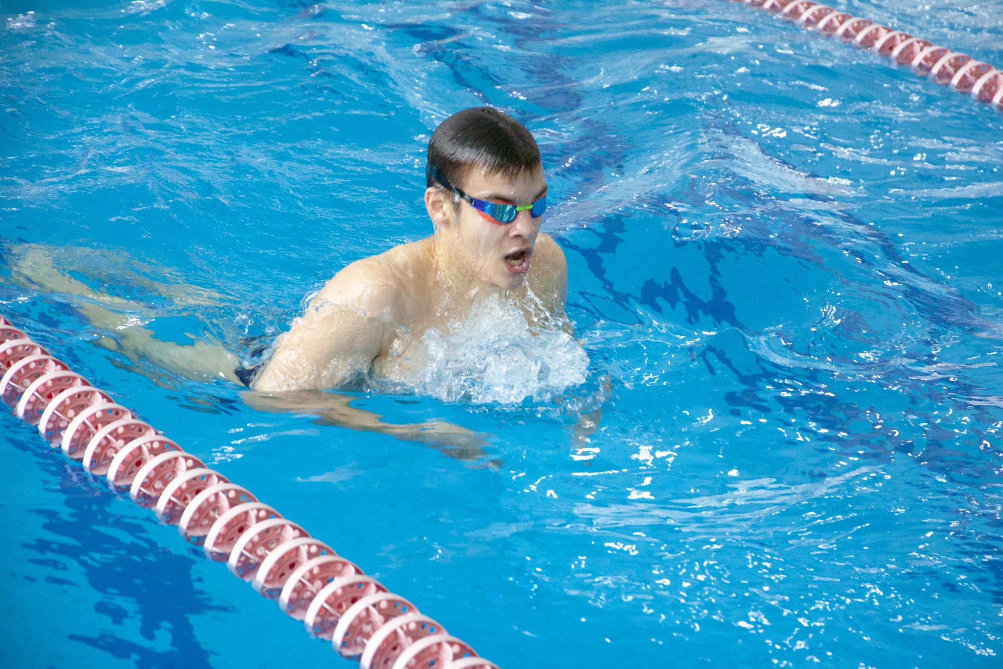 Новогодние соревнования по плаванию
