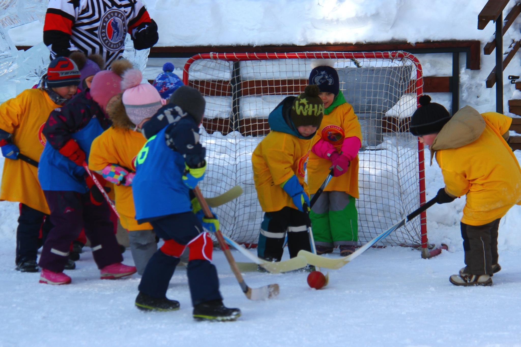 Детсадовская хоккейная лига