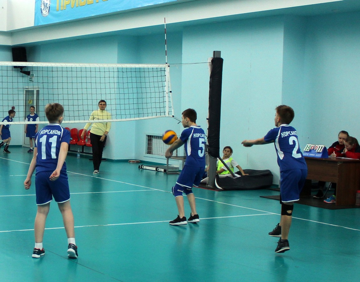 Первенство области по волейболу среди мальчиков и девочек 2006-2007 г.р.