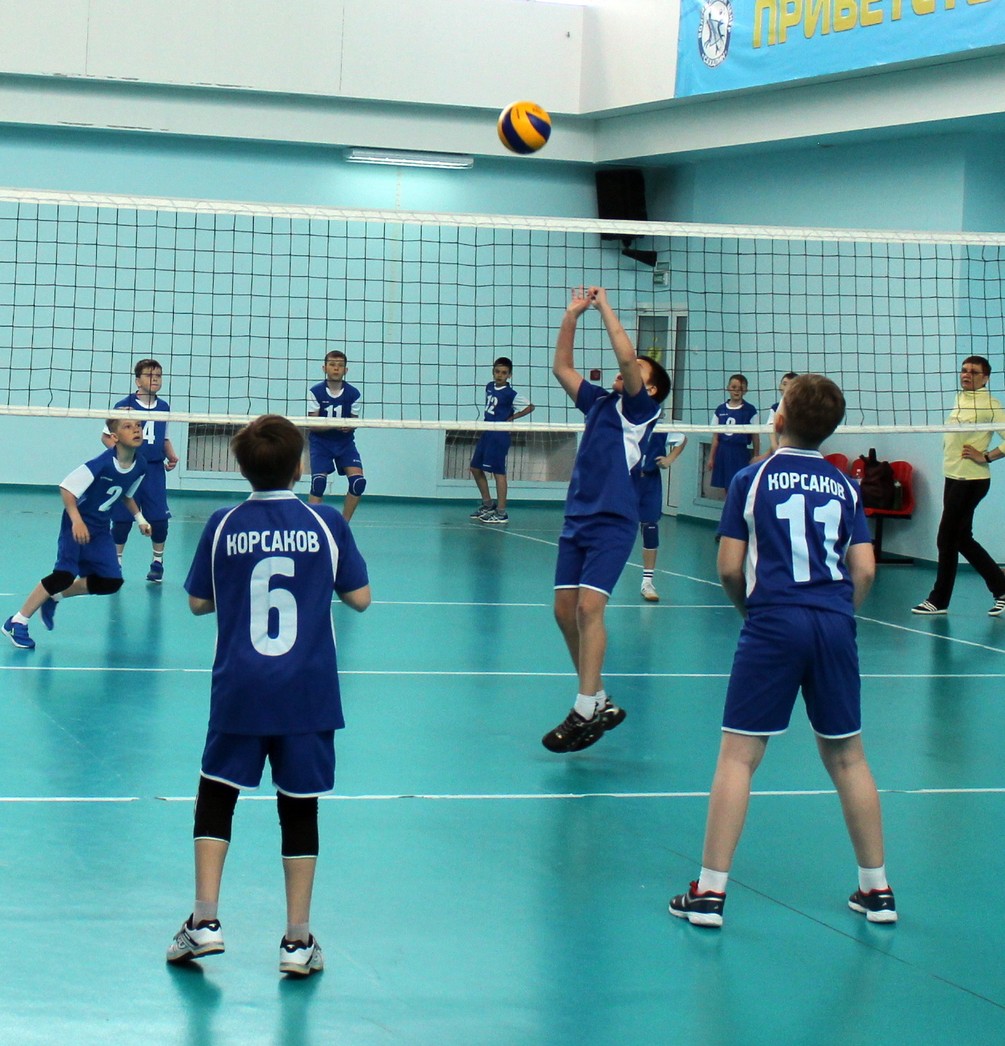 Первенство области по волейболу среди мальчиков и девочек 2006-2007 г.р.