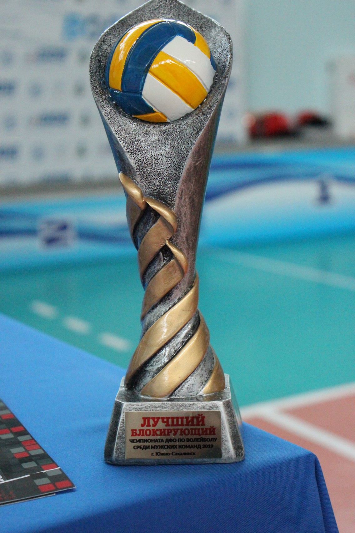 Чемпионат Дальнего Востока по волейболу среди мужских команд