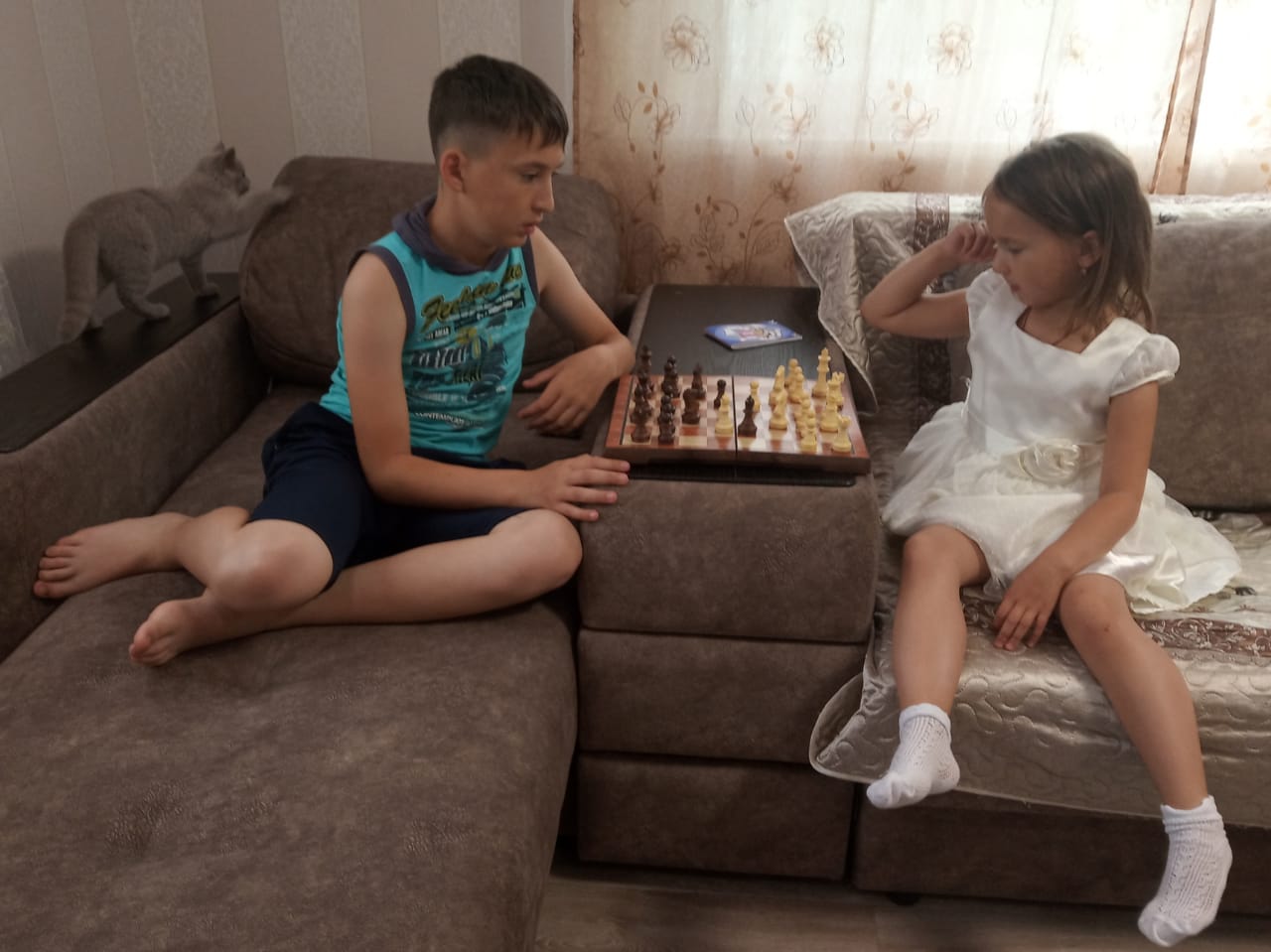 Юные островные шахматисты и их домашние питомцы