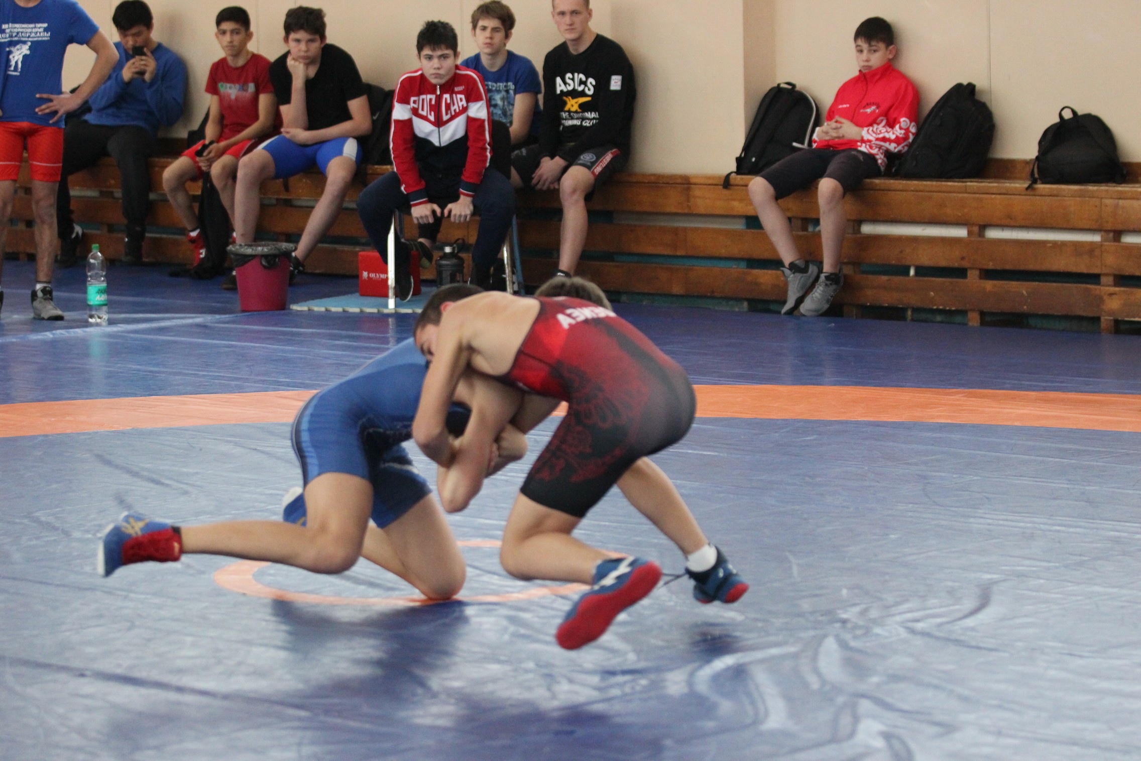 Первенство области по греко-римской борьбе среди юношей до 18 лет
