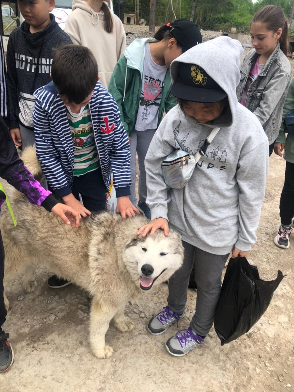 Воспитанники "СШ самбо и дзюдо" посетили приют для животных