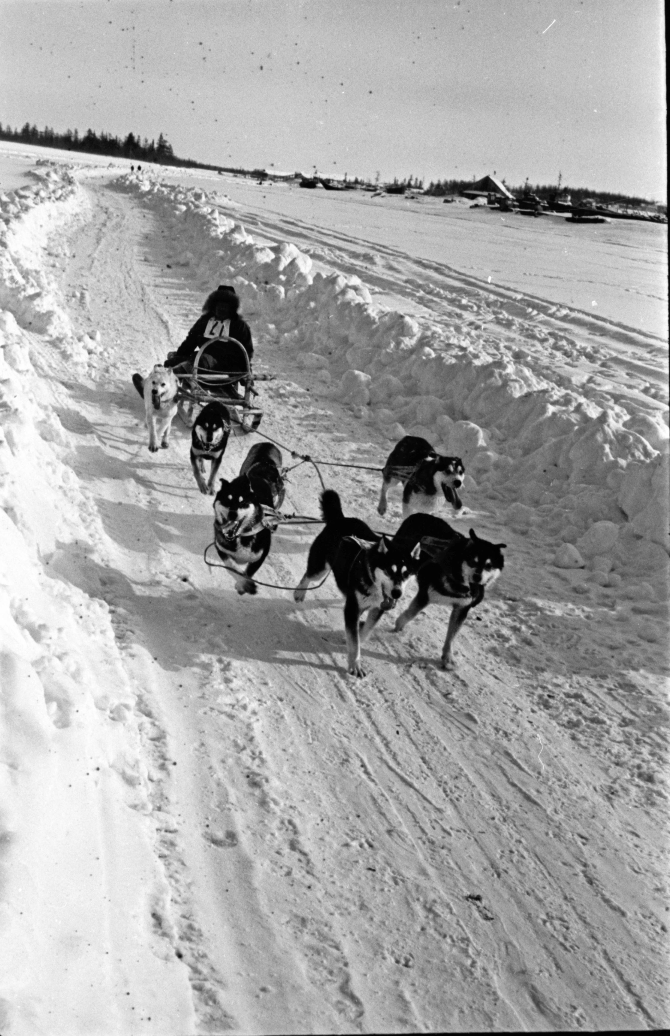 История соревнований КМНС