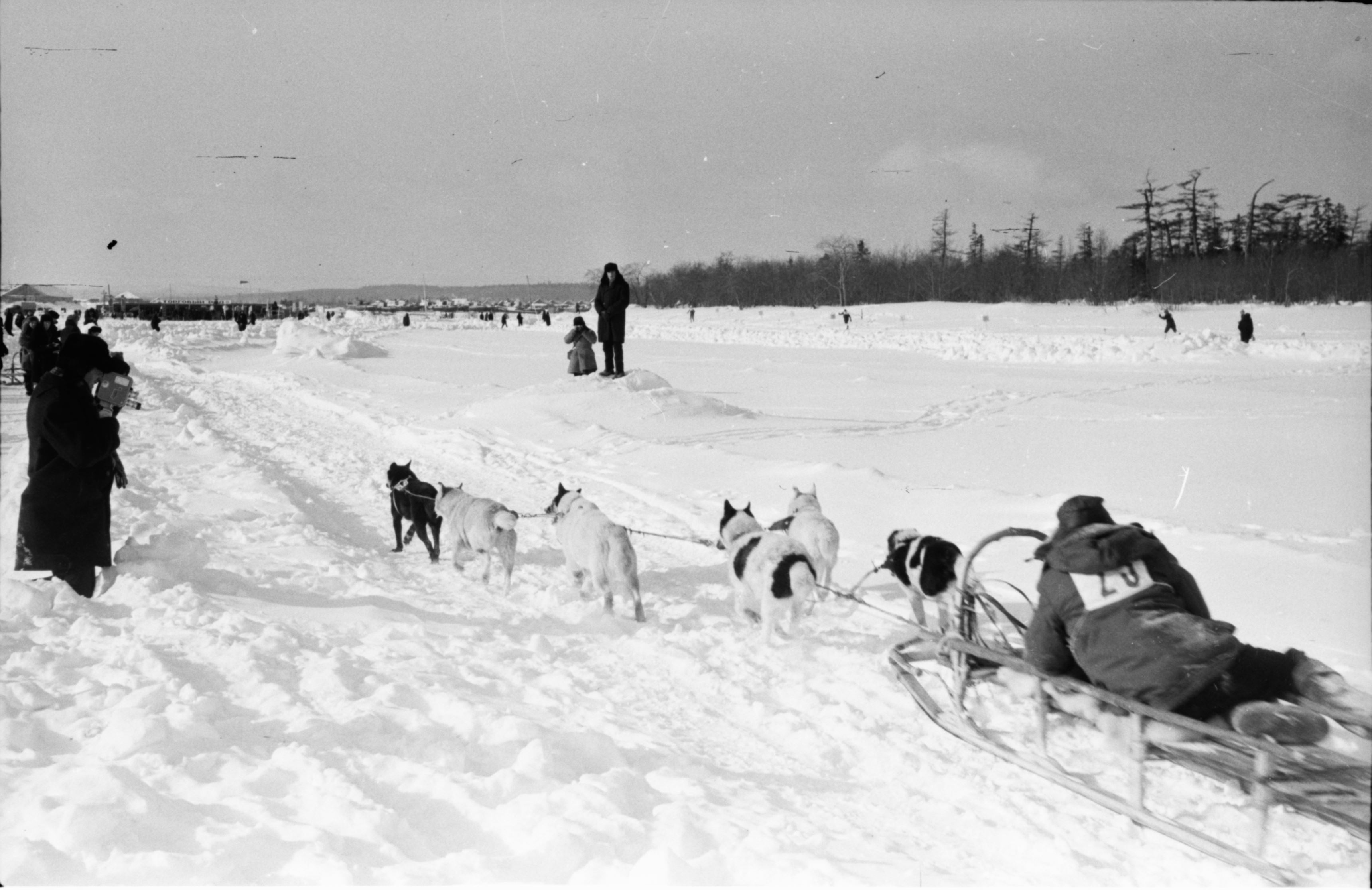 История соревнований КМНС