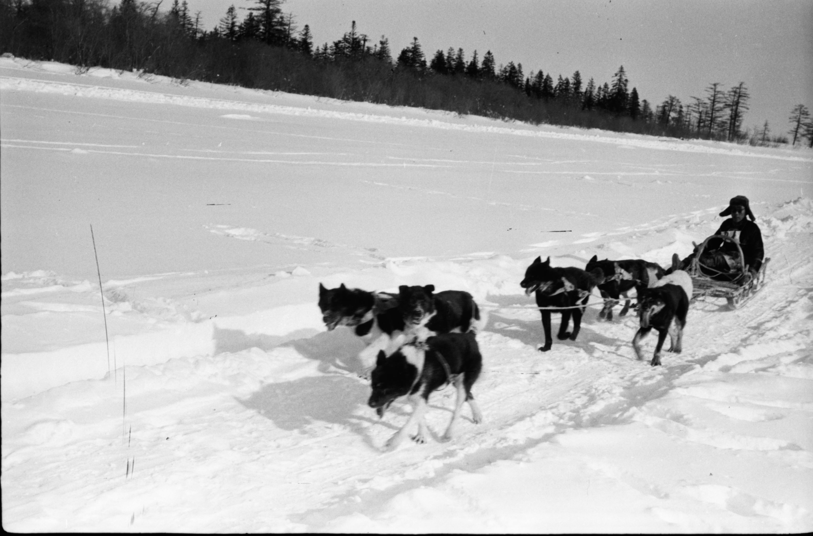 История соревнований КМНС