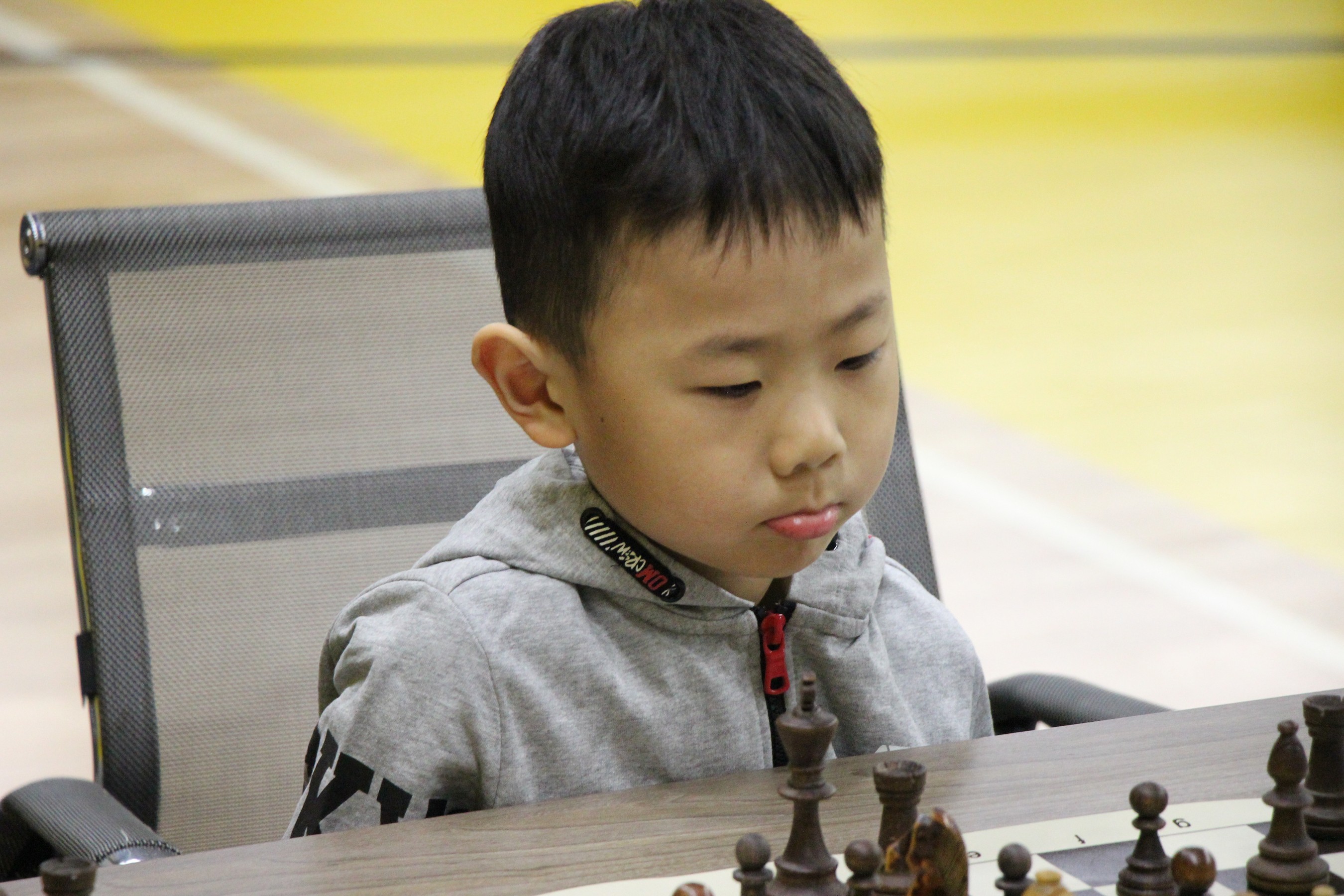 Первенство области по классическим шахматам