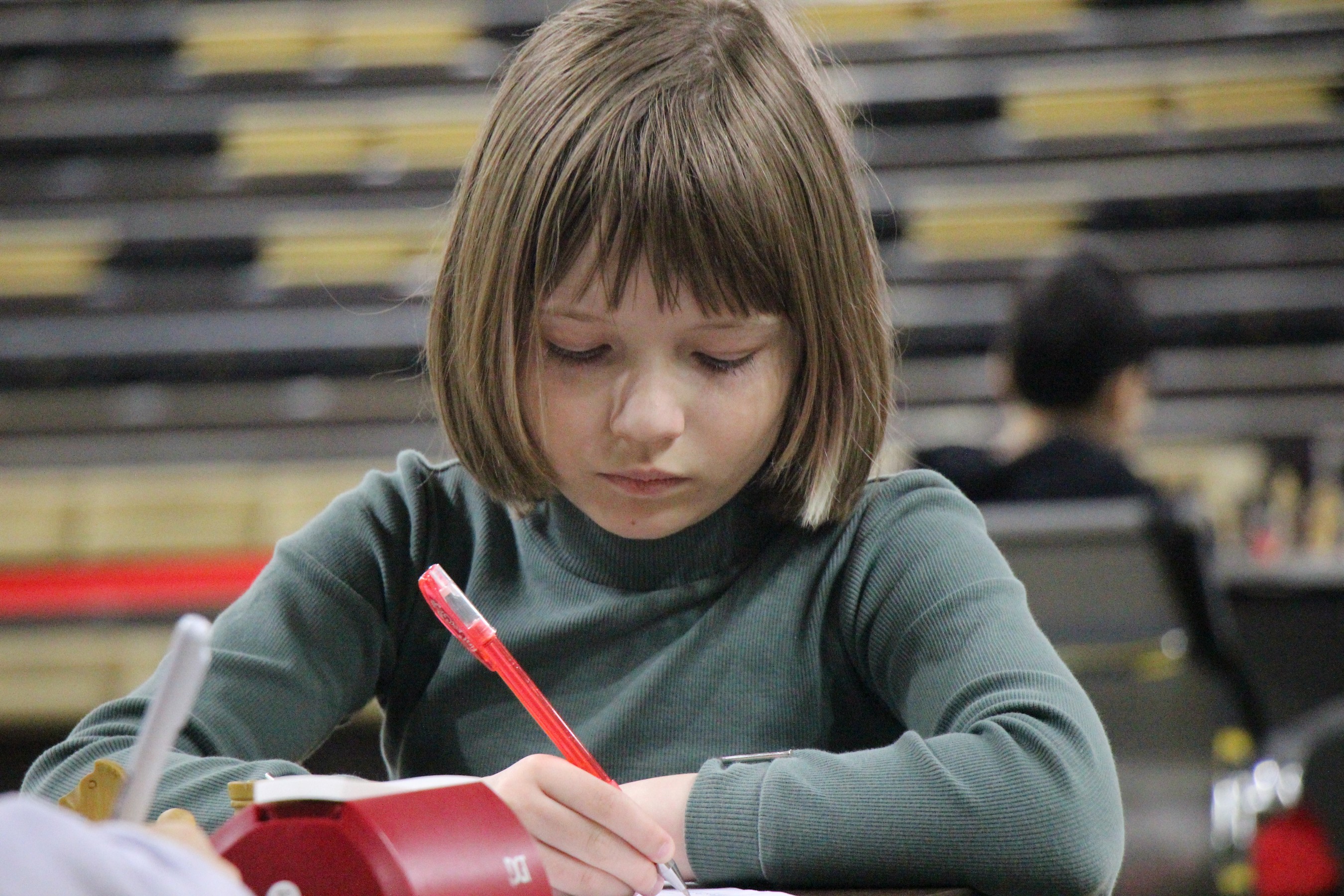 Первенство области по классическим шахматам