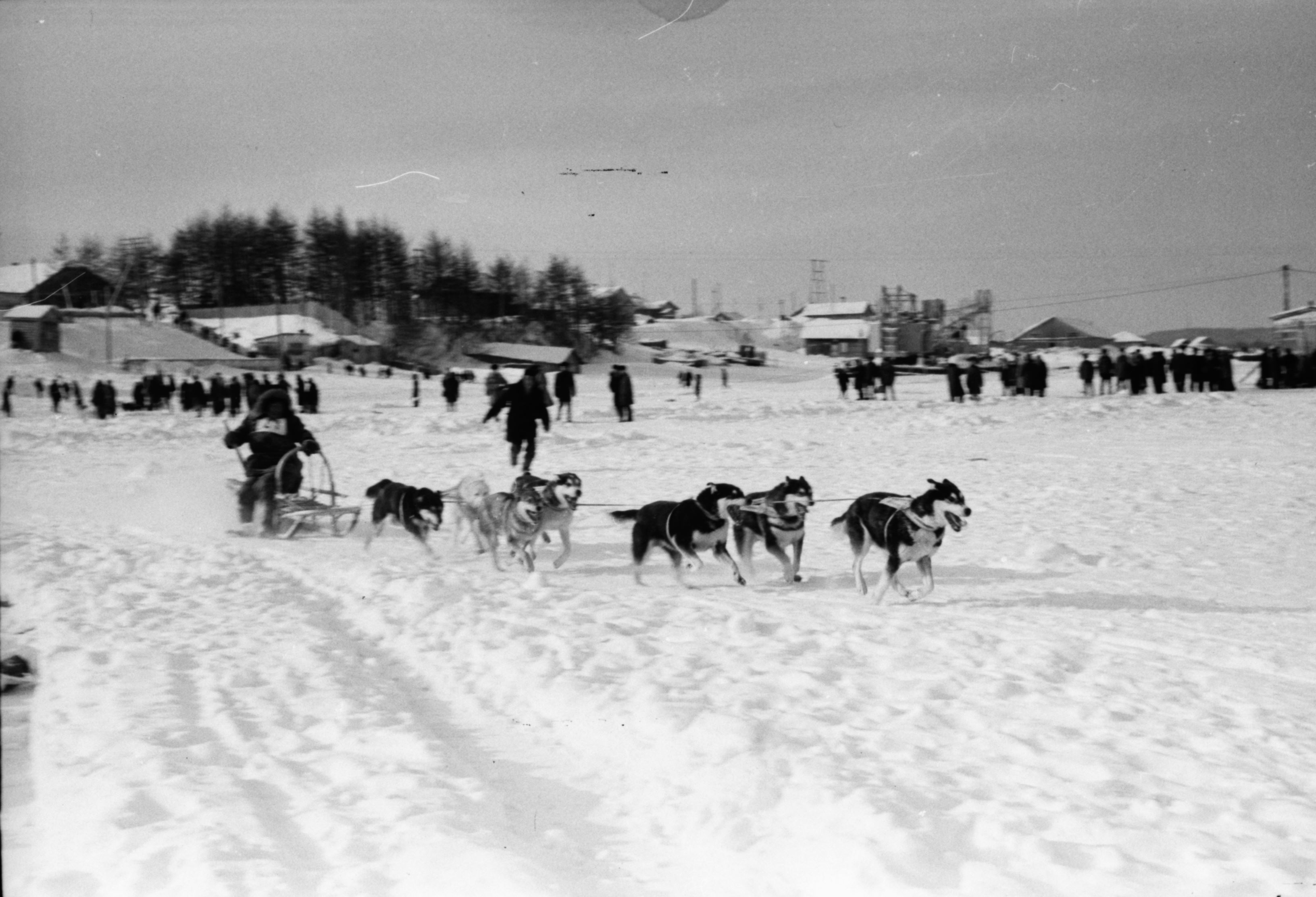 История соревнований КМНС