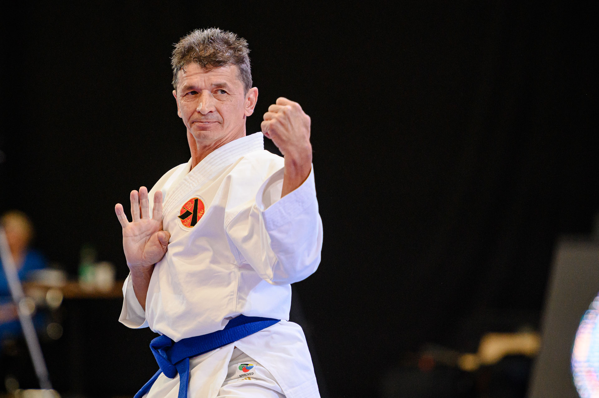 Чемпионат России по спорту глухих (дисциплина "каратэ")