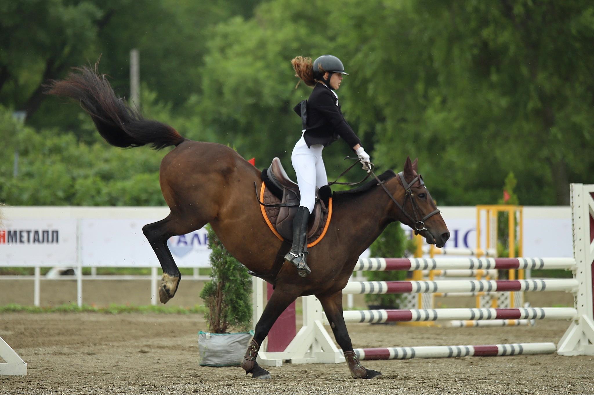 Международные соревнования по конкуру