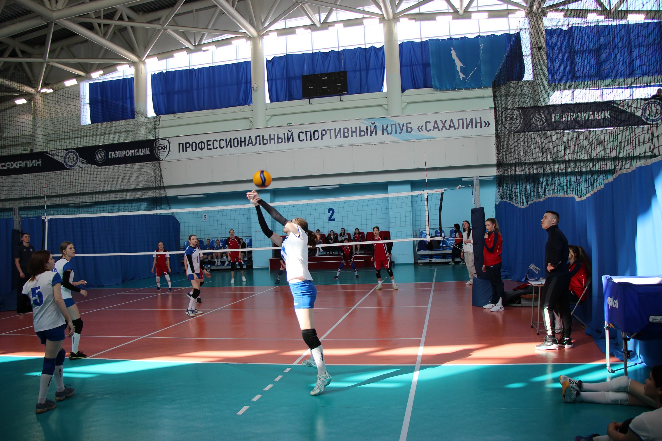 Областной этап турнира "Серебряный мяч"