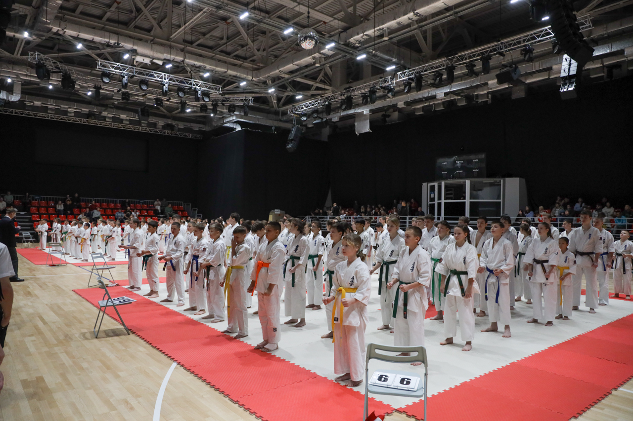 Чемпионат и первенство области по киокусинкай