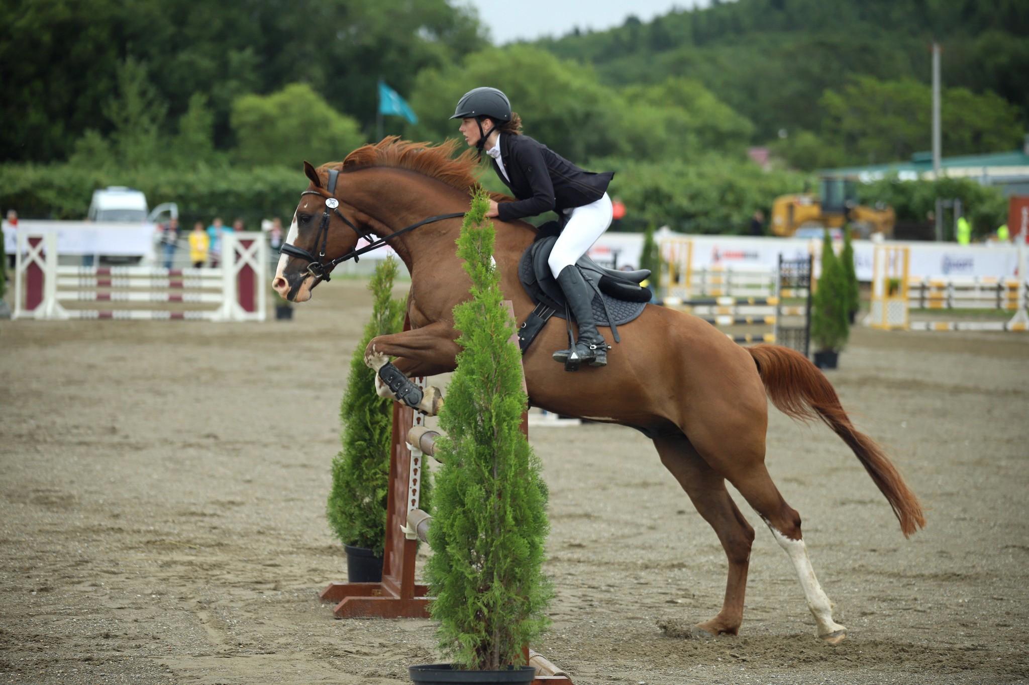 Международные соревнования по конкуру