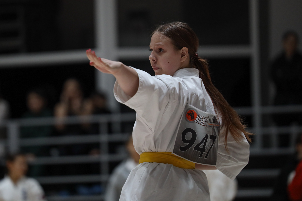 Чемпионат и первенство области по киокусинкай