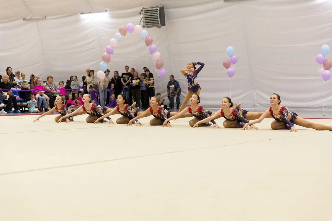 Первенство области по эстетической гимнастике