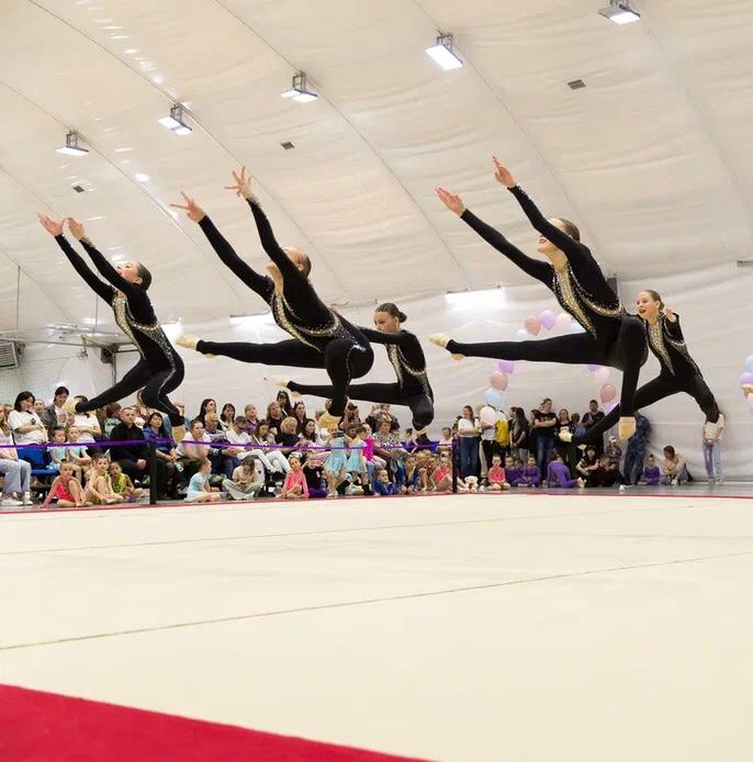 Первенство области по эстетической гимнастике