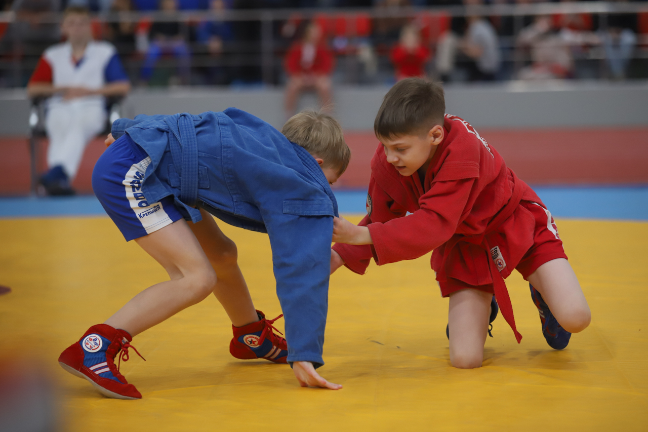 Всероссийский день самбо