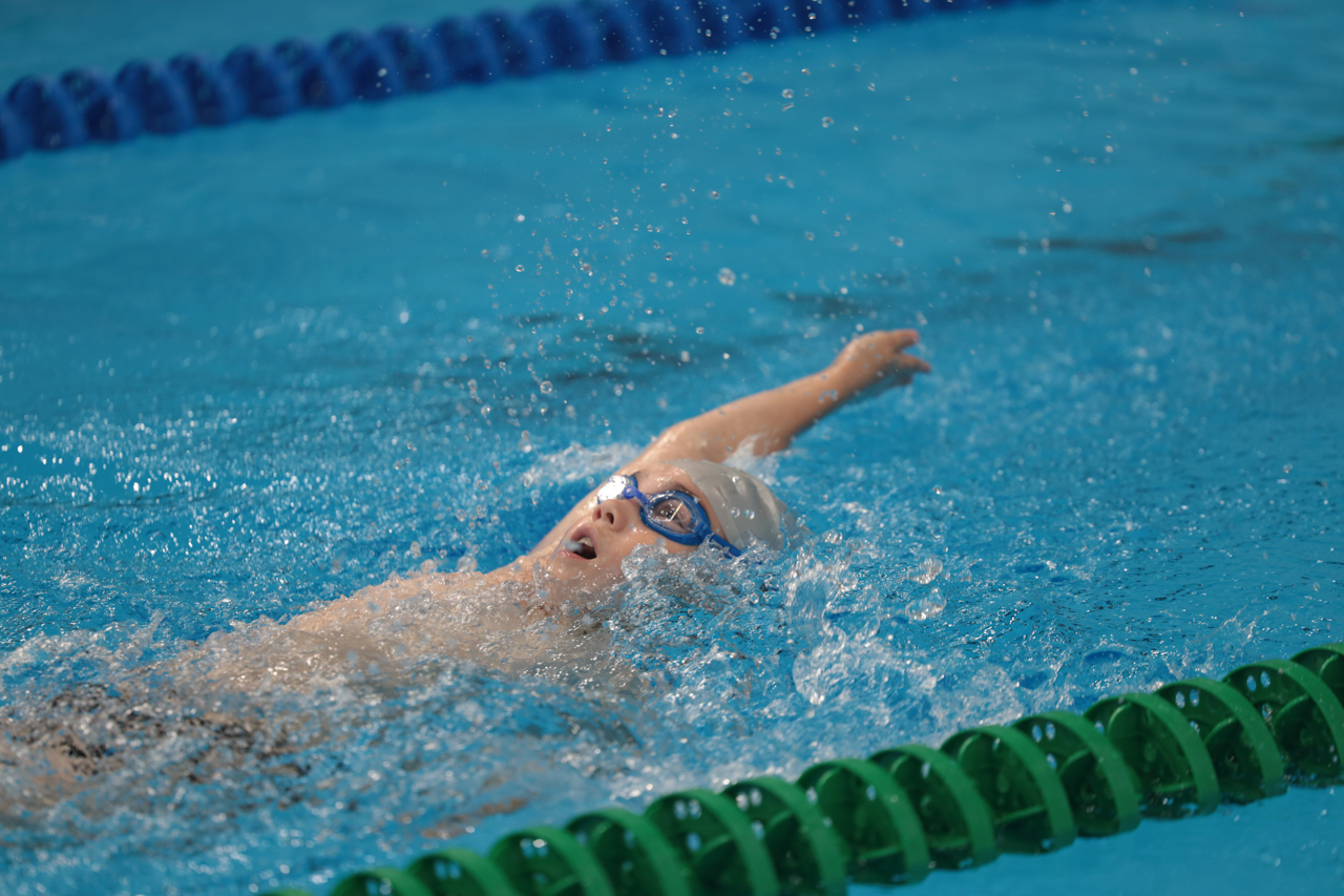 Чемпионат и первенство области (2025)