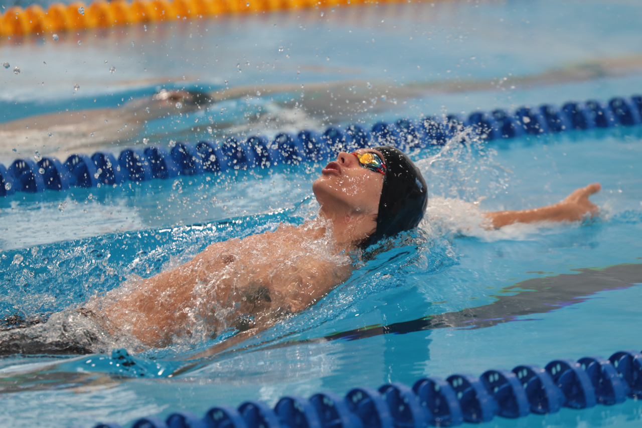 Чемпионат и первенство области (2025)