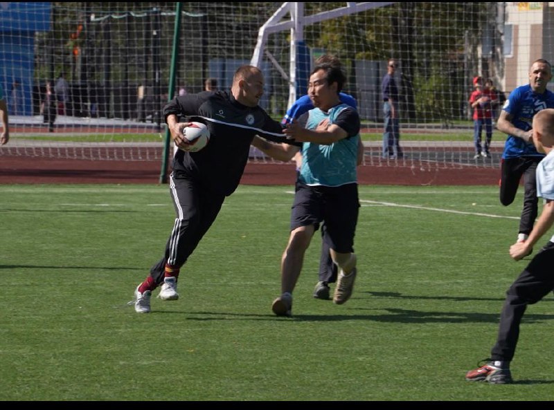 Кубок области по регби