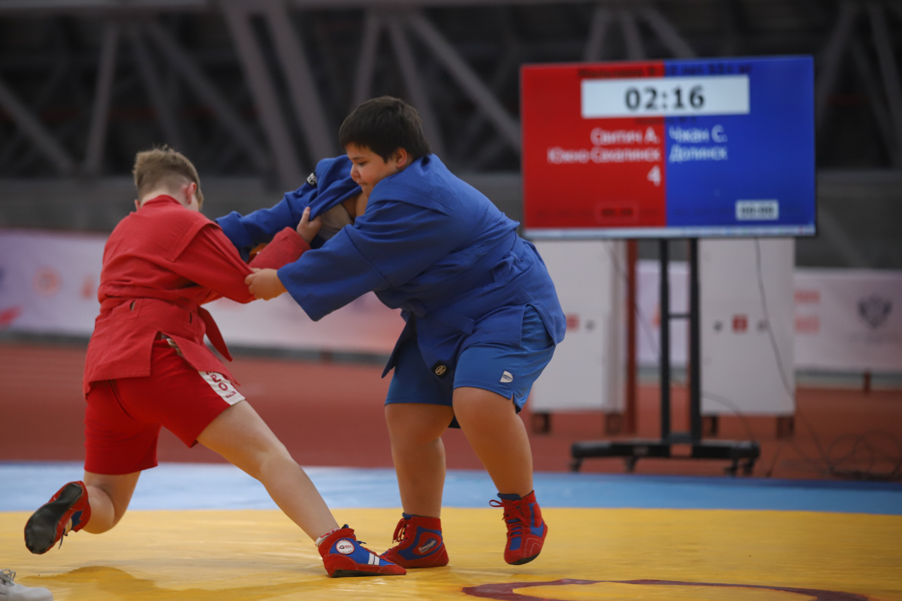 Всероссийский день самбо