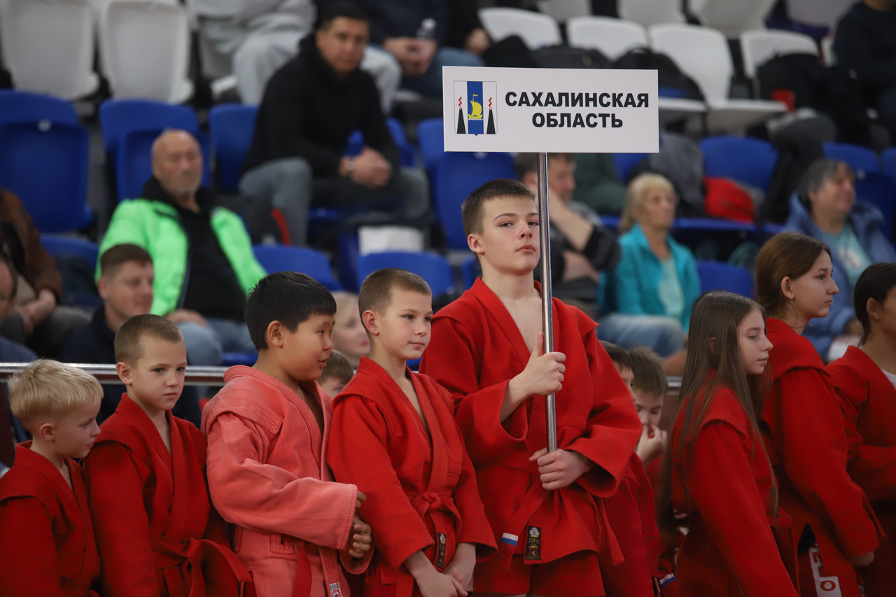 Всероссийский день самбо