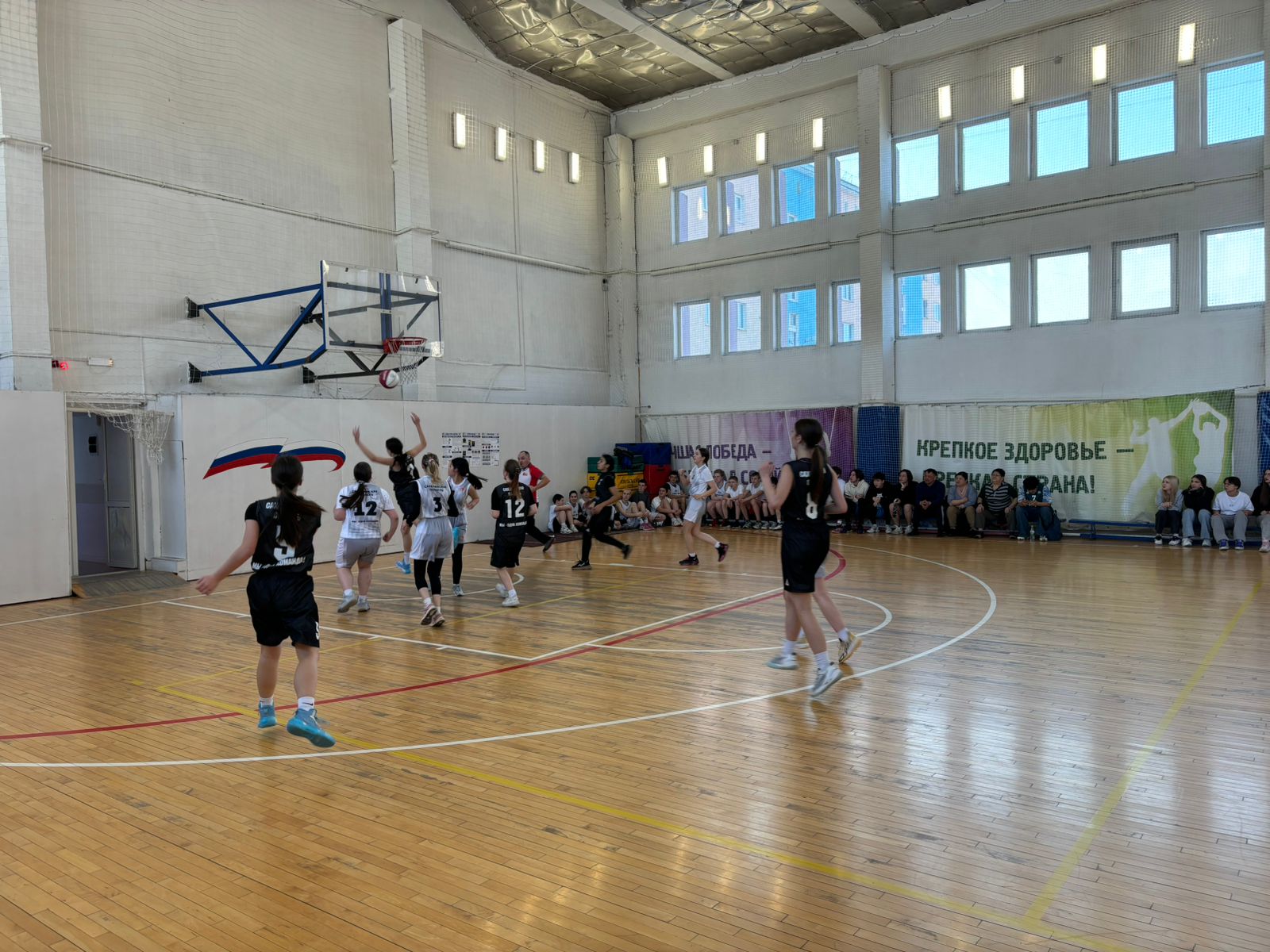 Дивизиональный этап чемпионата ШБЛ "КЭС-БАСКЕТ"