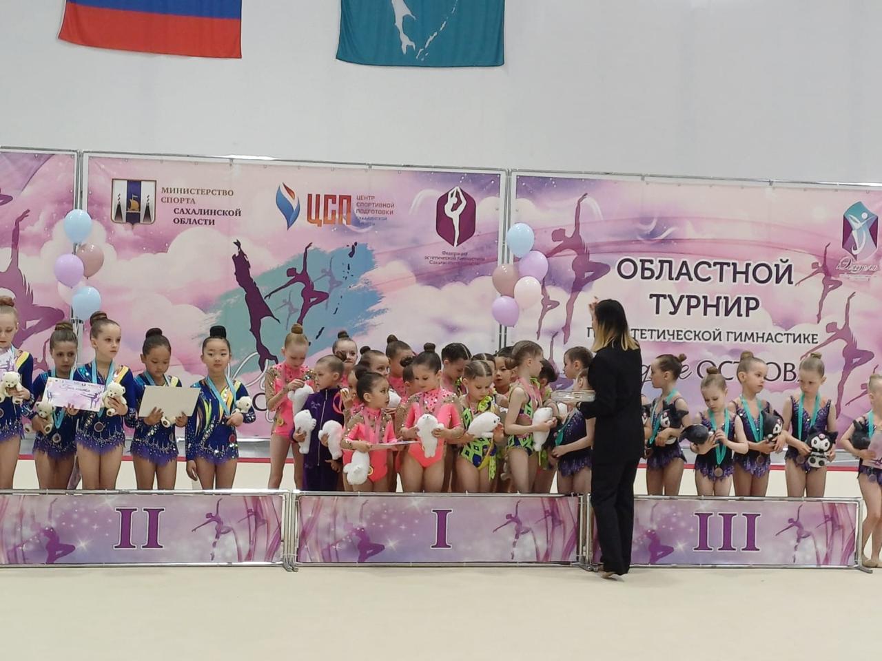 Первенство области по эстетической гимнастике