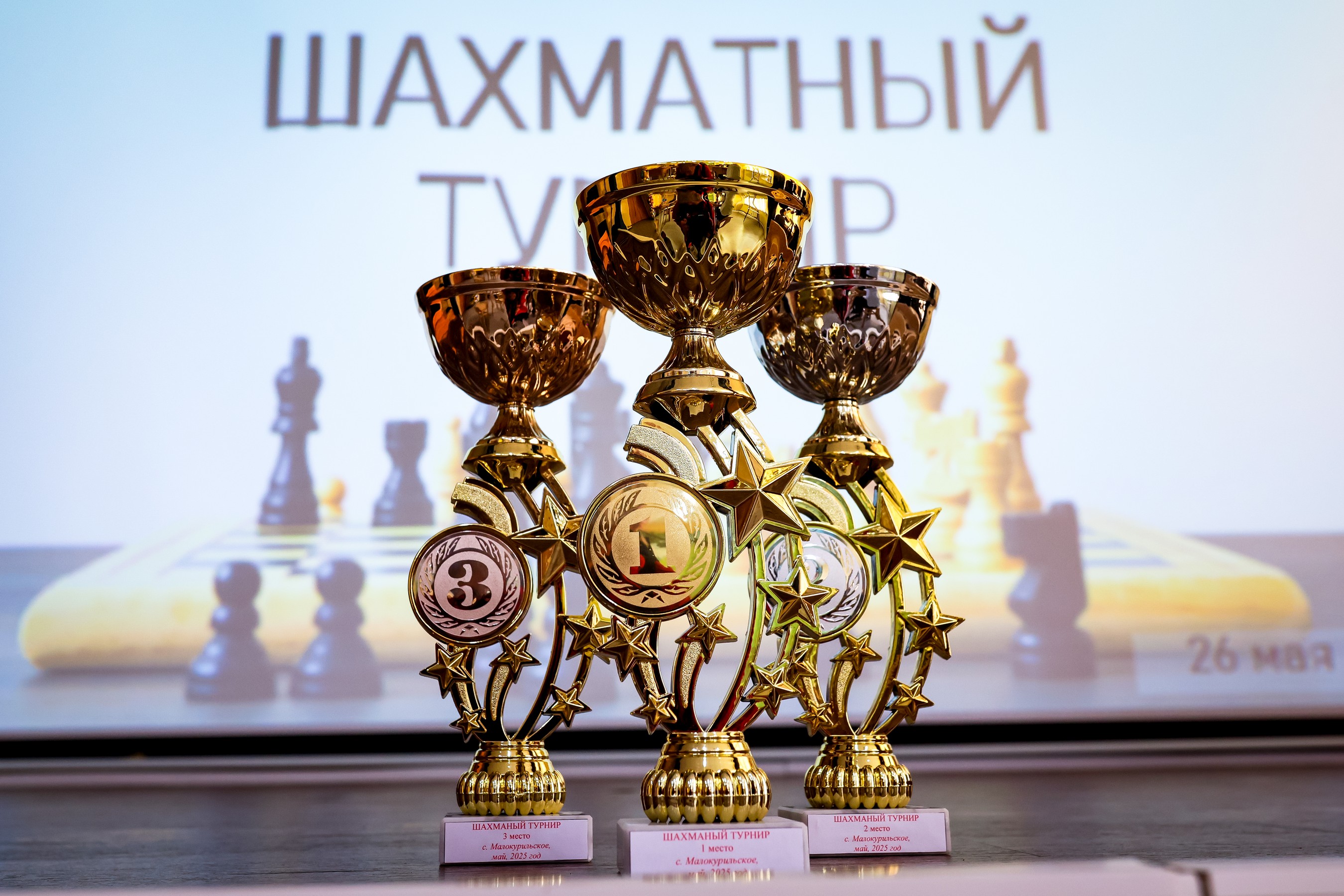 Турнир в Малокурильском