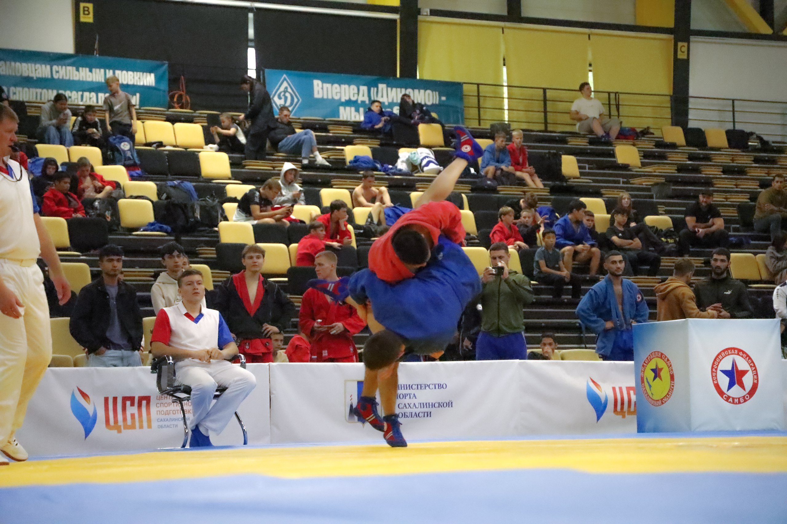 Областной турнир «Динамо»