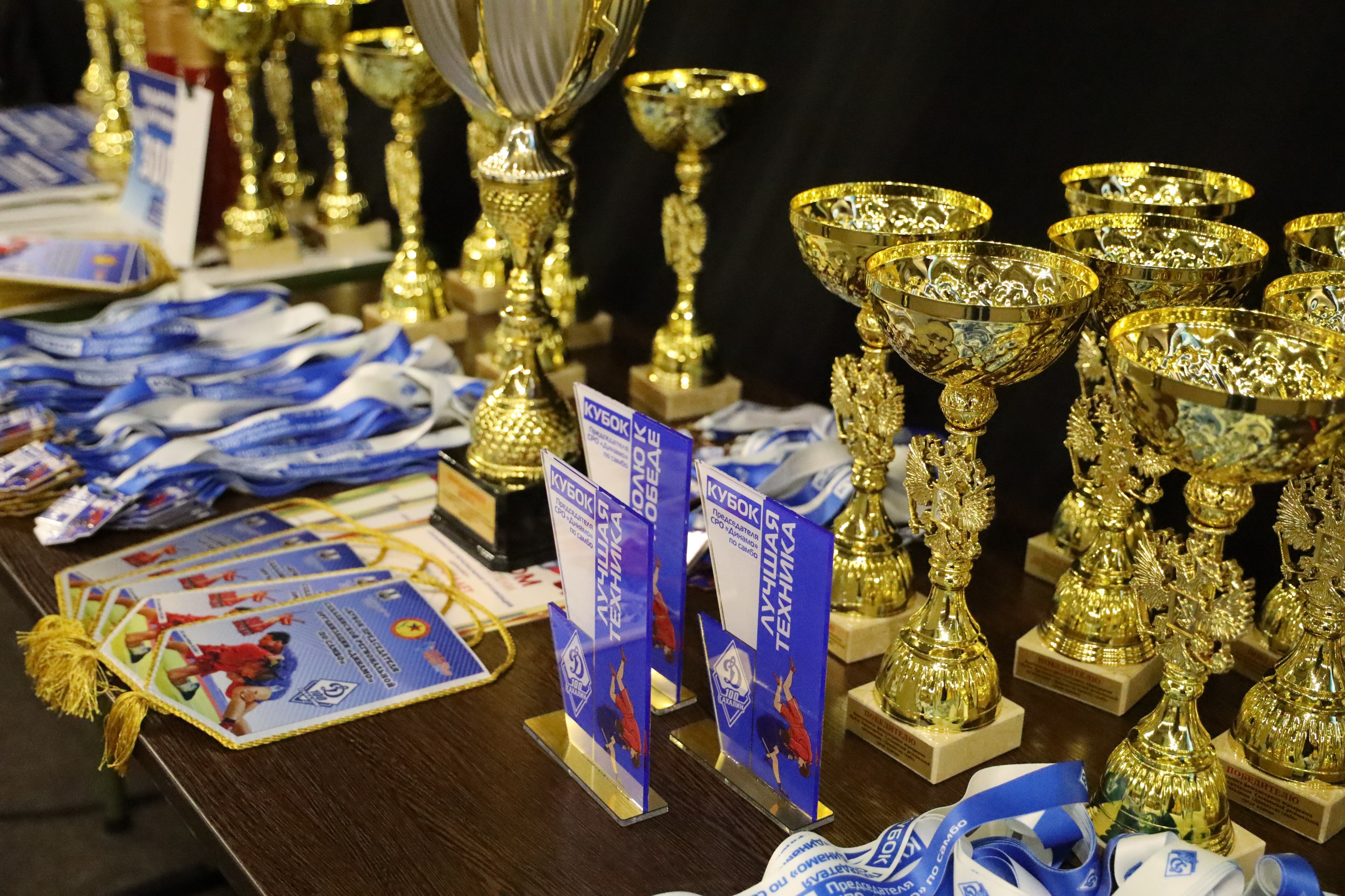 Областной турнир «Динамо»