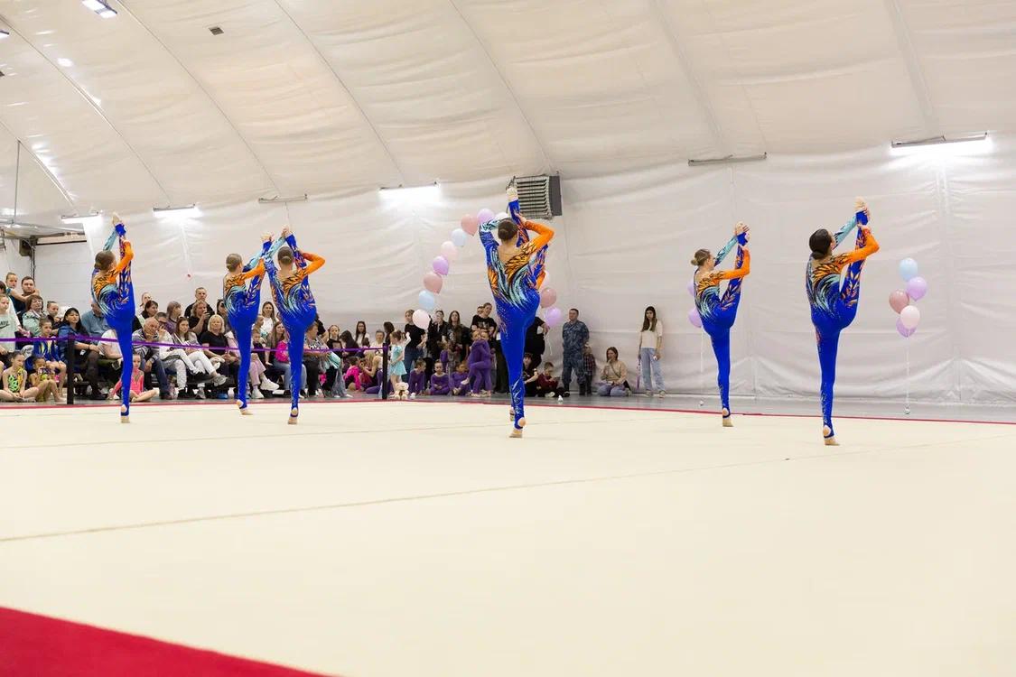 Первенство области по эстетической гимнастике
