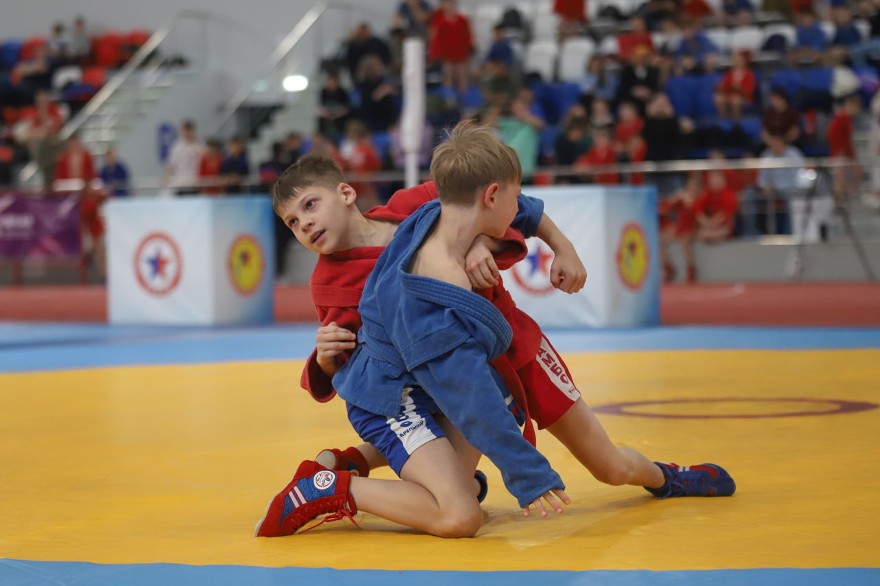 Всероссийский день самбо