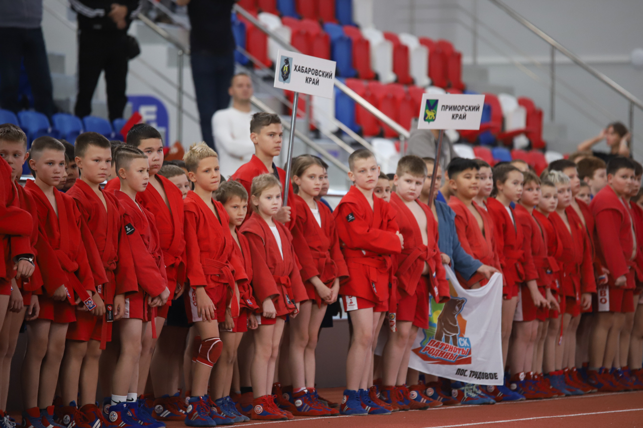 Всероссийский день самбо
