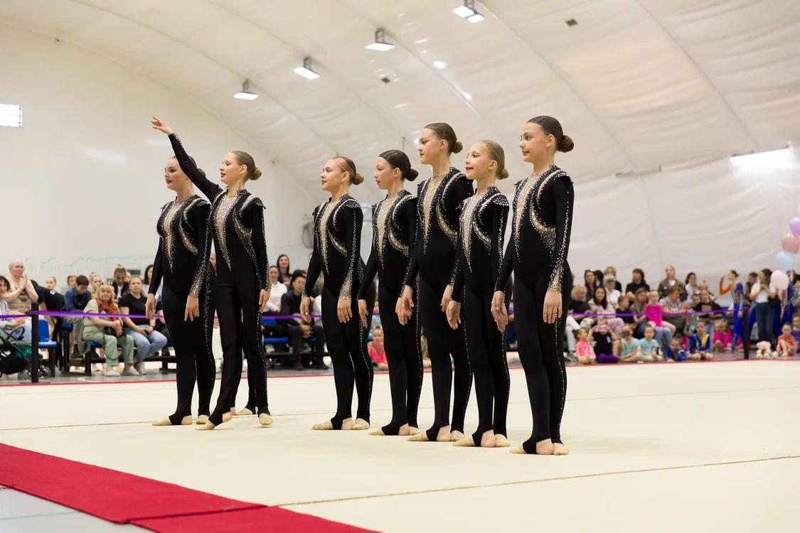 Первенство области по эстетической гимнастике